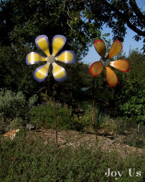 Plants and Sculpture at the San Diego Botanic Garden