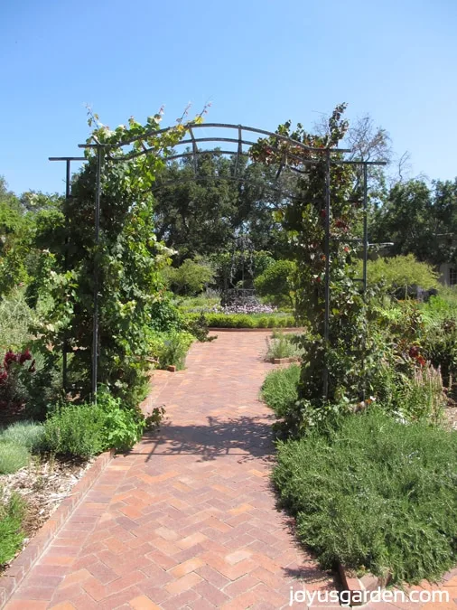 Beautiful archway in the herb garden