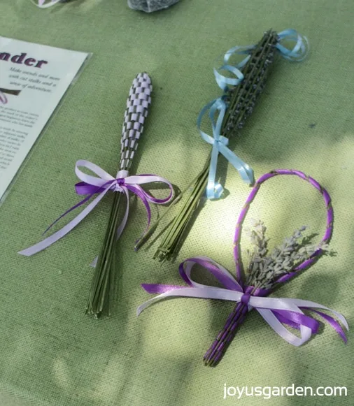 Lavender wands in the herb garden