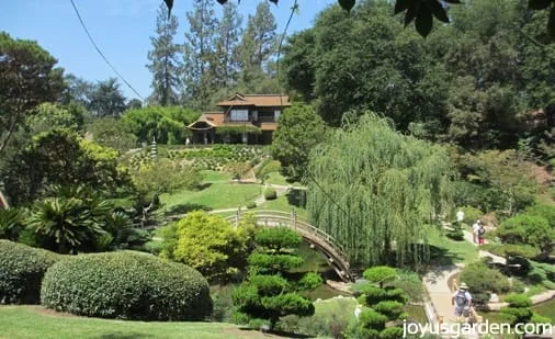 Overlooking the Japanese Garden