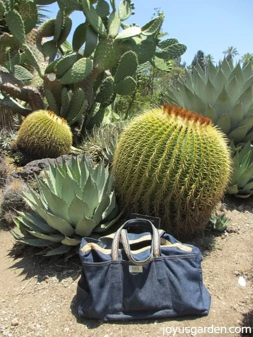 LadyBug Bag at desert Garden