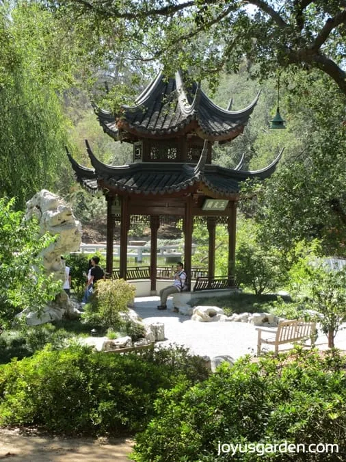 Stunning Chinese garden