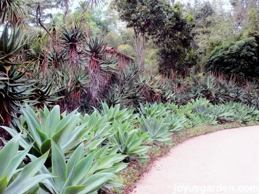 Lotusland tour