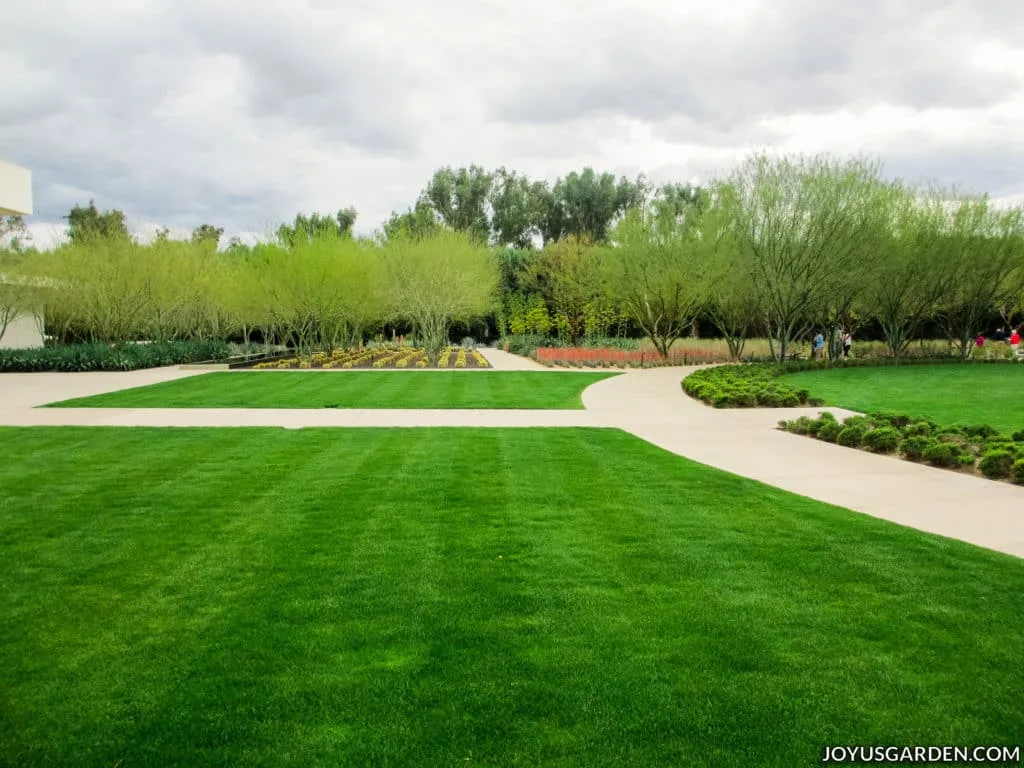 a bright green lawn with dirt walkways & trees in the background