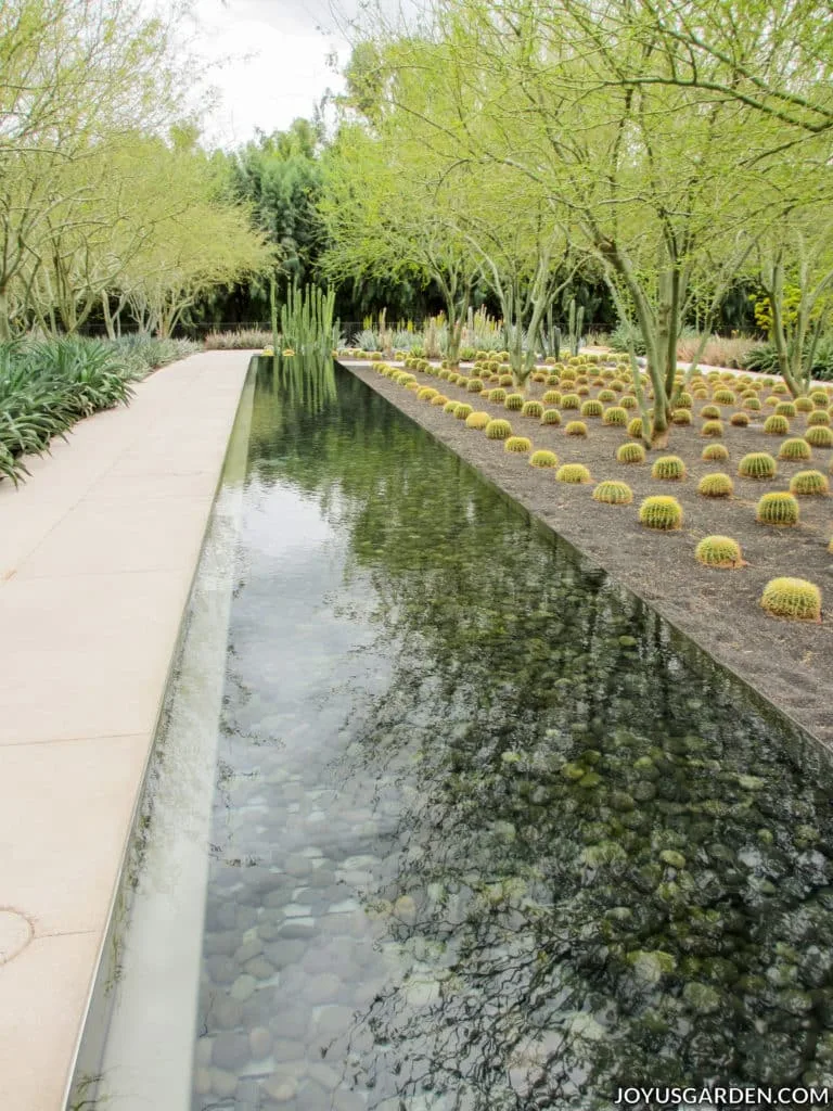 a long narrow water feature in a desert garden