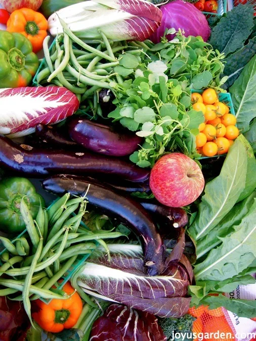 A gorgeous assortment of colorful produce