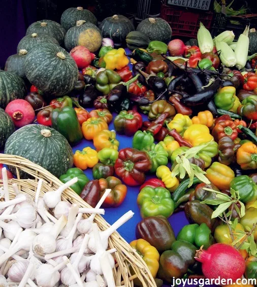 A gorgeous, fall arrangement of gourds and peppers