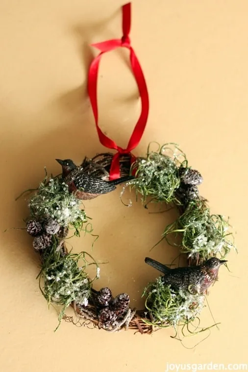 Succulent vine wreath