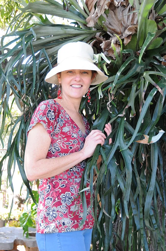 Staghorn Ferns Had Me At Hello