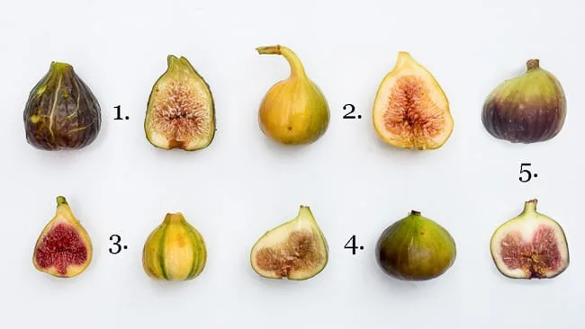 different kinds of figs