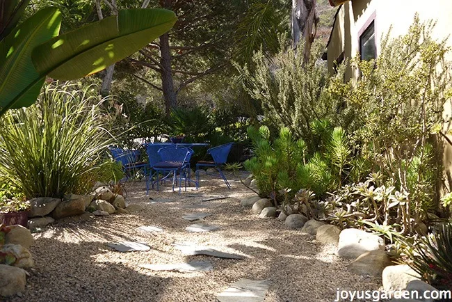 looking into a beautiful Southern California garden with a gravel hardscape & bright blue patio set