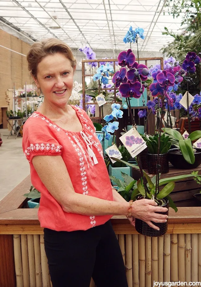 A woman in a coral shirt holds a phalaenopsis orchid with purple/blue flowers in an orchid showroom.