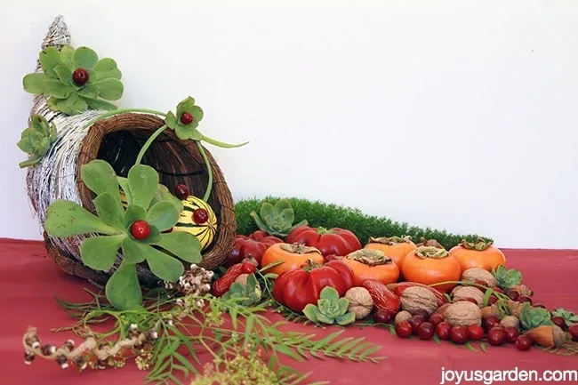 Succulent Adorned Cornucopia