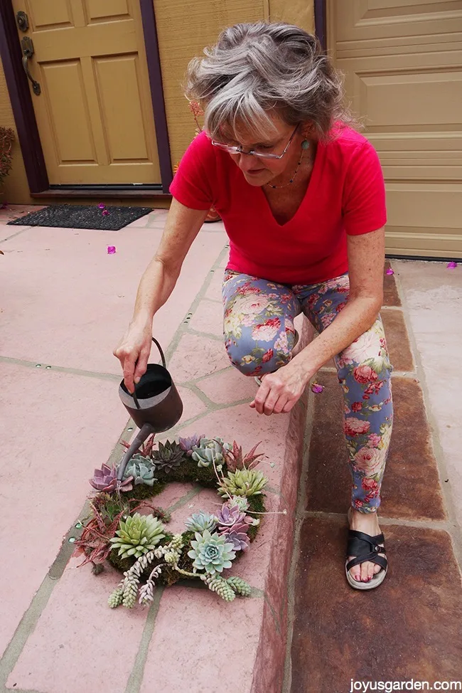 Care for succulent wreath