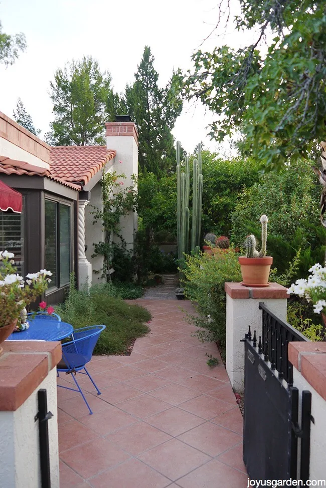 Tucson desert garden