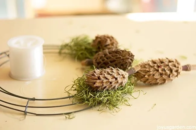 Magnolia Cone Succulent Walnut Adorned Wreath