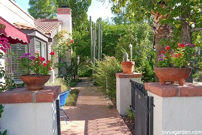 backyard garden