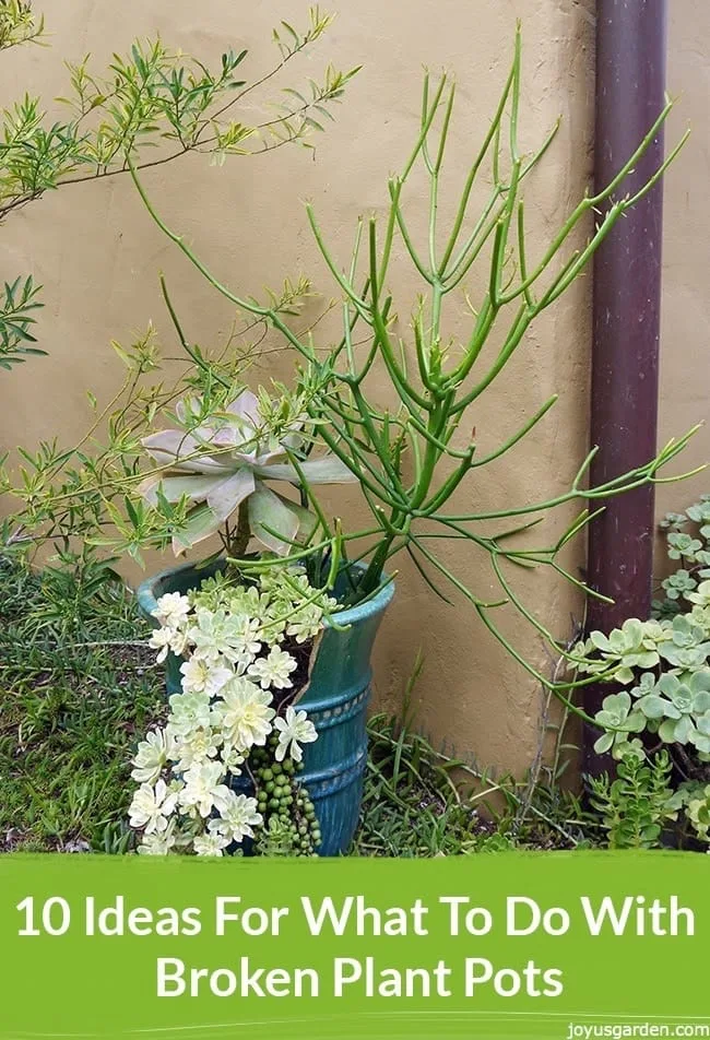 10 Ideas For What To Do With Broken Plant Pots