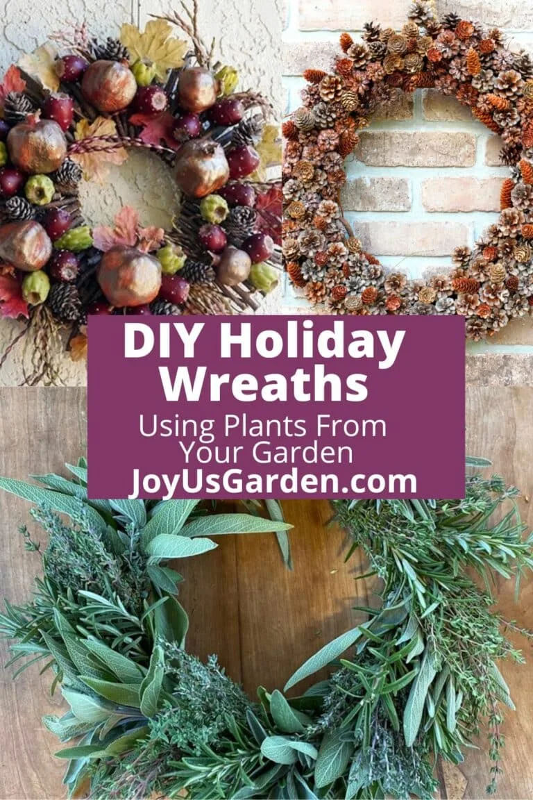 DIY Holiday Wreaths Using Plants From Your Garden 