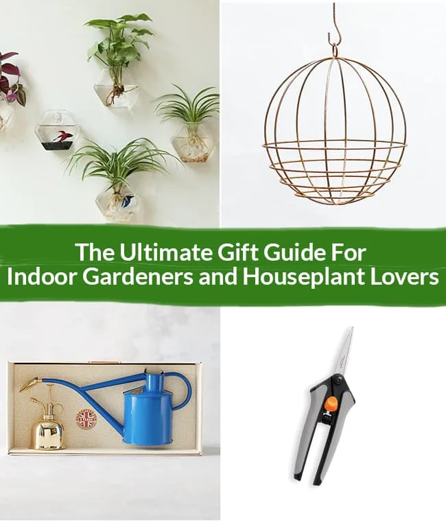 a collage with indoor plant gifts to give houseplant gardeners the text reads The Ultimate Gift Guide For Indoor Gardeners and Houseplant Lovers