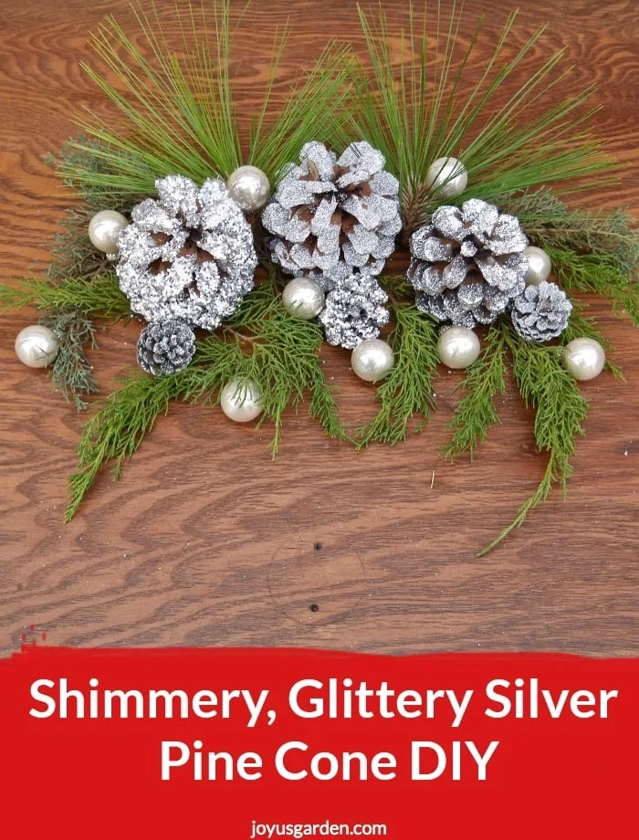 glittered silver pinecones sit on evergreen branches surrounded by small pearlescent balls the text reads Shimmery, Glittery Silver Pine Cone DIY.