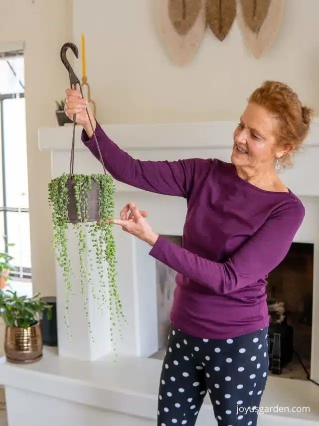 woman holding a string of pearls plant with long trails indoors