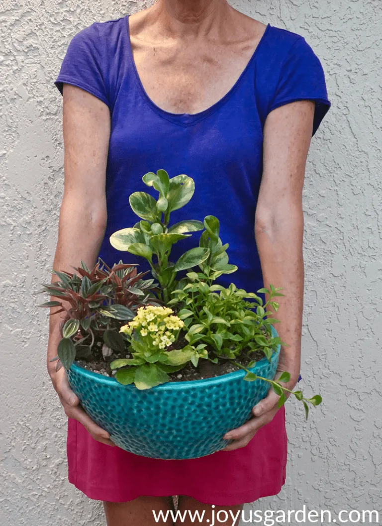 a dish garden in a turquoise glazed ceramic pot is held by a woman in a blue top & pink shirt