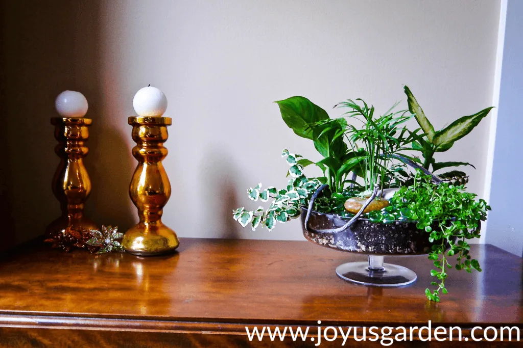 a dish garden with a variety of houseplants in a footed glass bowl sits on a table next to orange glass candlesticks 