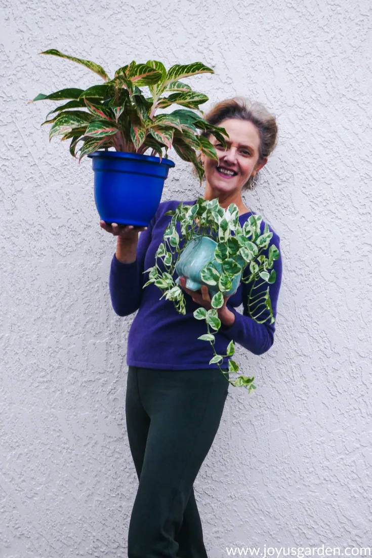 nell foster with joy us garden is holding an aglaonema & a trailing pothos