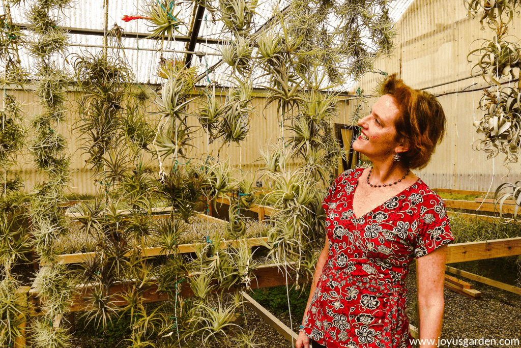 Nell in a greenhouse