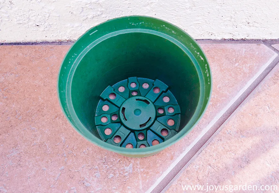 looking down on a green plastic grow pot with lots of drain holes