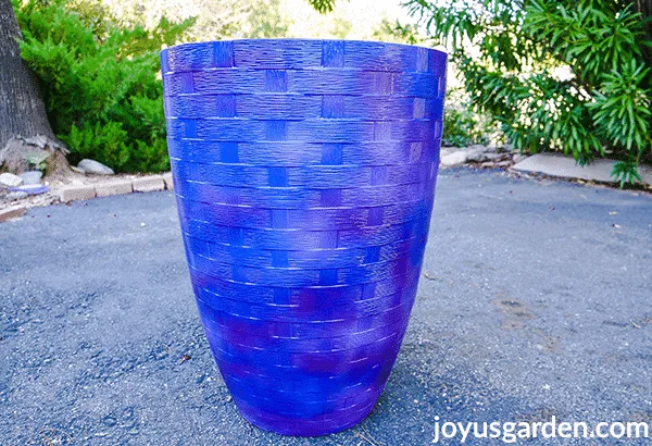 A tall blue vase type pot sits in a driveway.