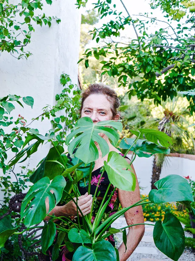 Nell foster with joy us garden holds a monstera deliciosa plant outdoors with many plants in the background.