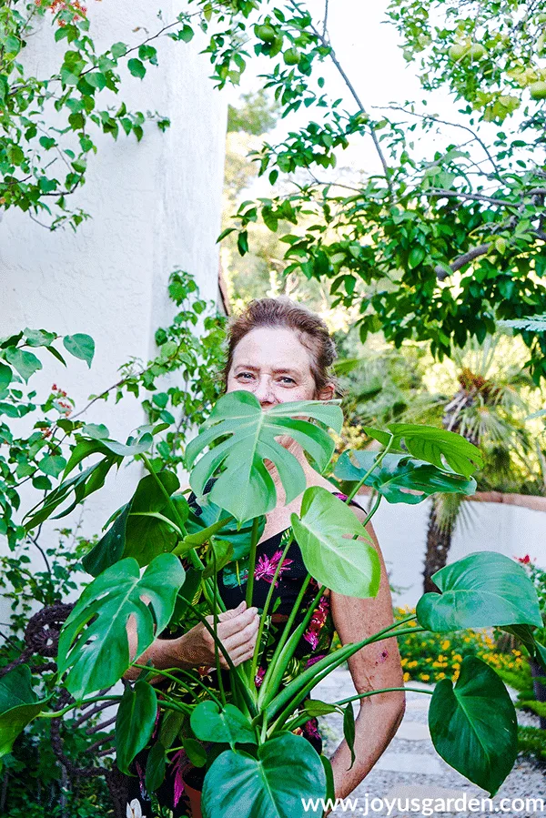 Nell foster with joy us garden holds a monstera deliciosa plant outdoors with many plants in the background.