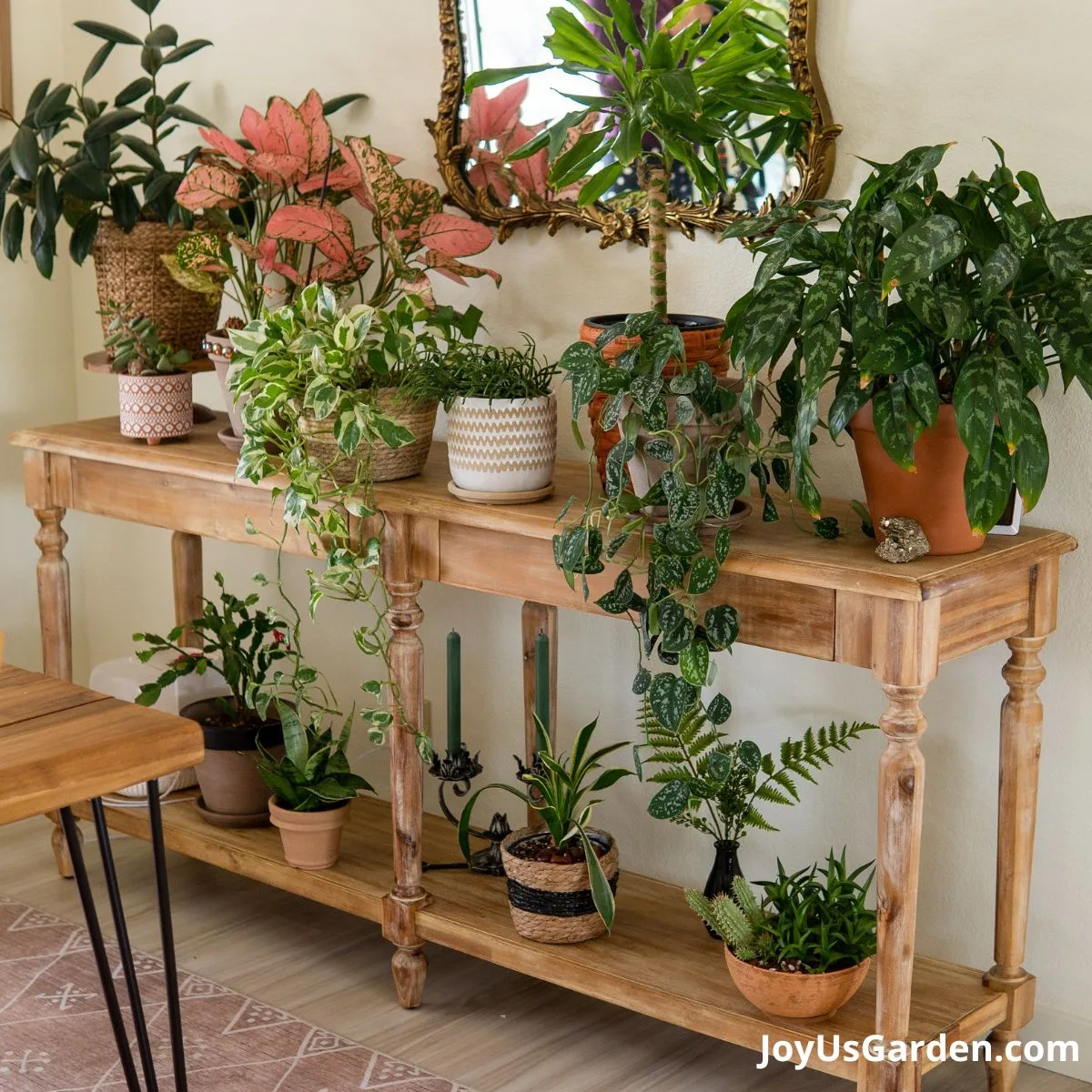 Plant table shown in bright indoor light, with a variety of houseplants adorning the 2 levels. 