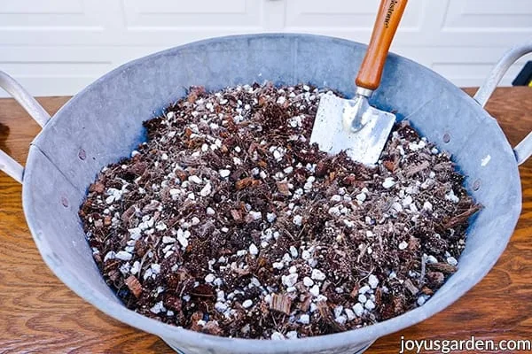 a tin bowl full of succulent & cactus mix with a trowel in it