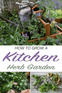 How to Grow a Kitchen Herb Garden | Joy Us Garden