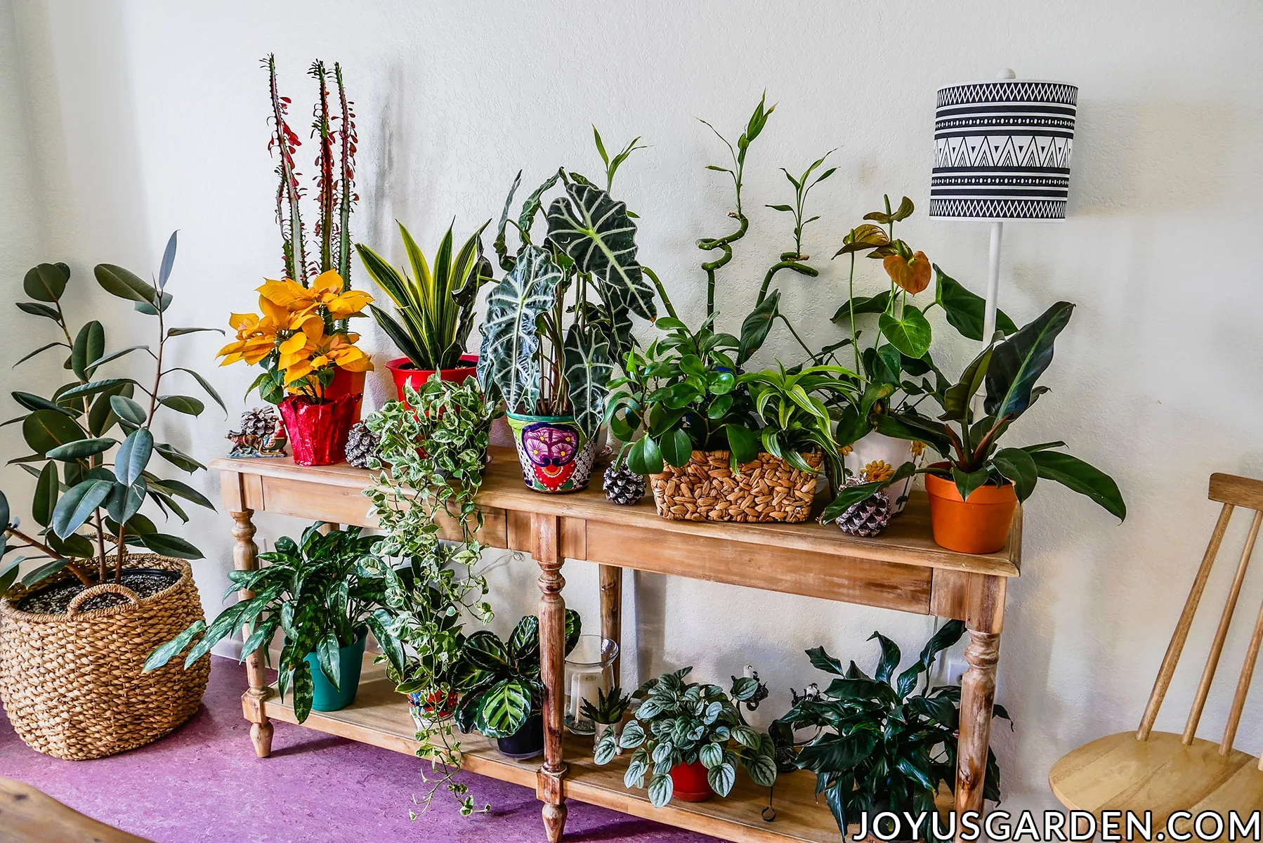 a long narrow table is filled with a variety of indoor plant a large tree sits on the floor