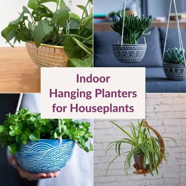 a collage of 4 photos of hanging pots for plants the texts reads indoor hanging planters for houseplants