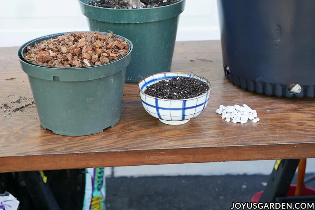 various materials for repotting plants sit on a work table