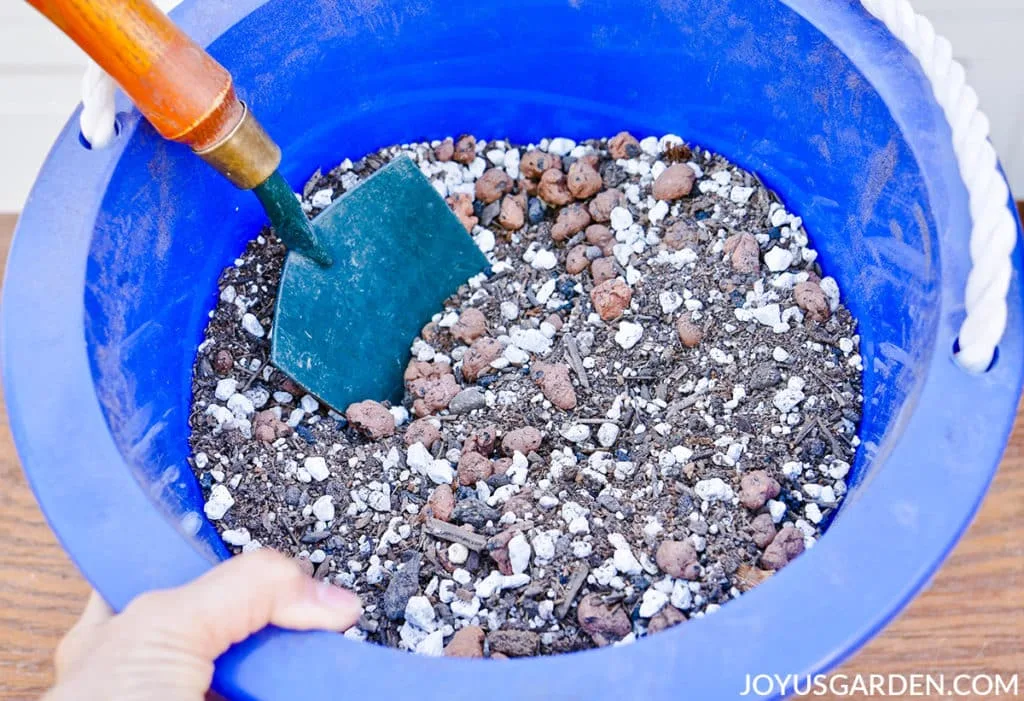 Looking down into a blue pail full of soil mix used for planting lavender in pots.