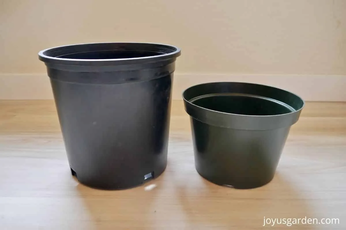 Two plastic grow pots, 1 taller than the other, sit side by side.