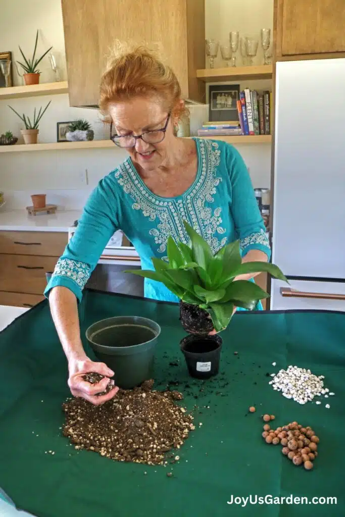 A woman in a turquoise shirt repots a small snake plant on a mat with with piles of soil materials.