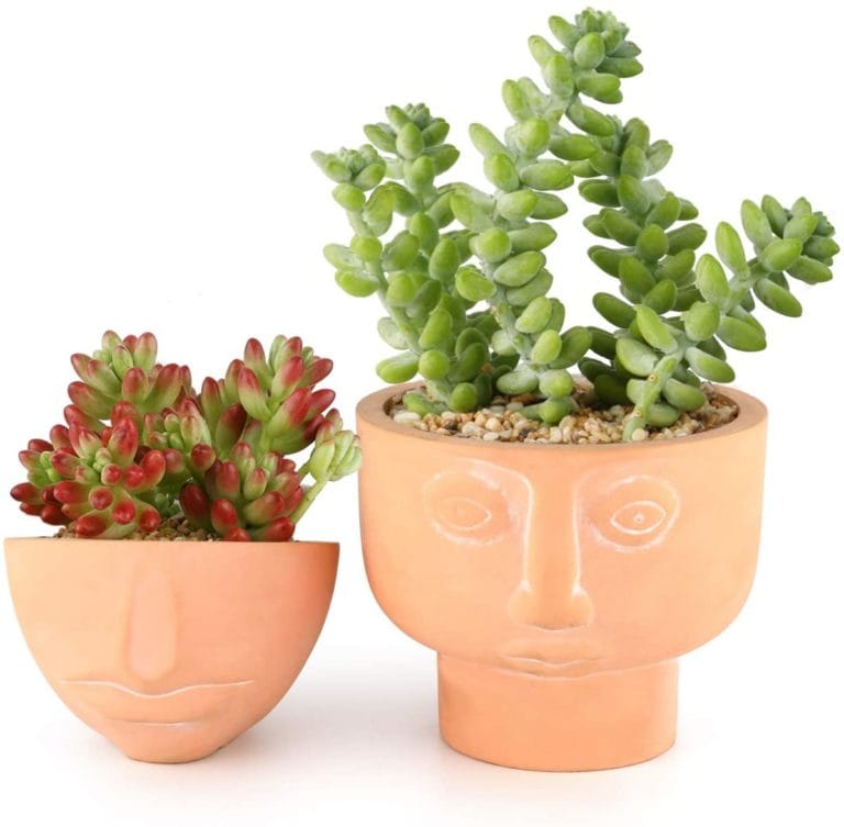 Small Pots For Succulents 4784