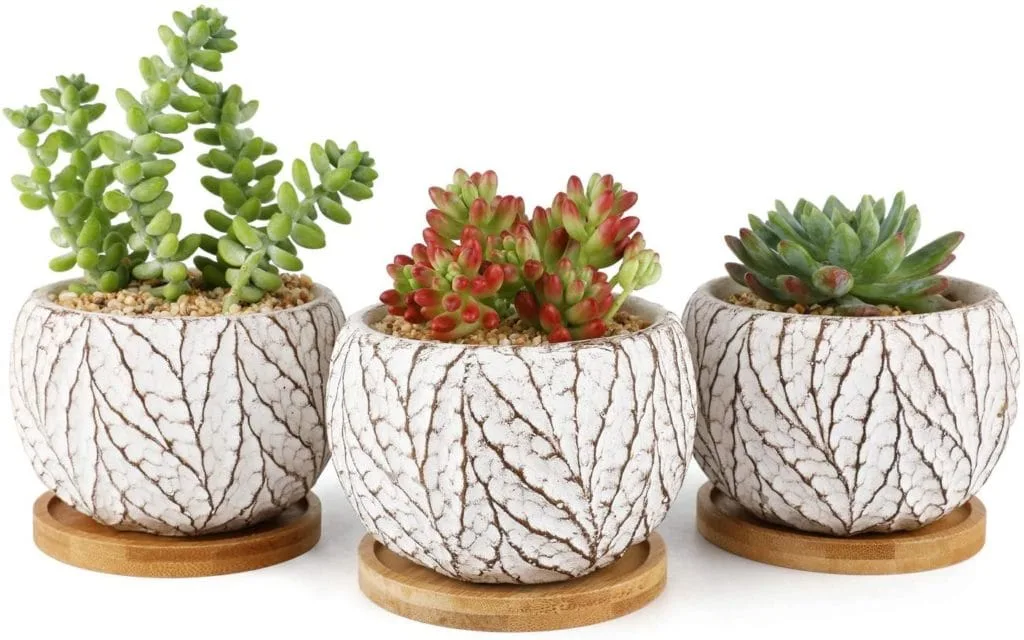 Set of three planters with succulents inside available at amazon.