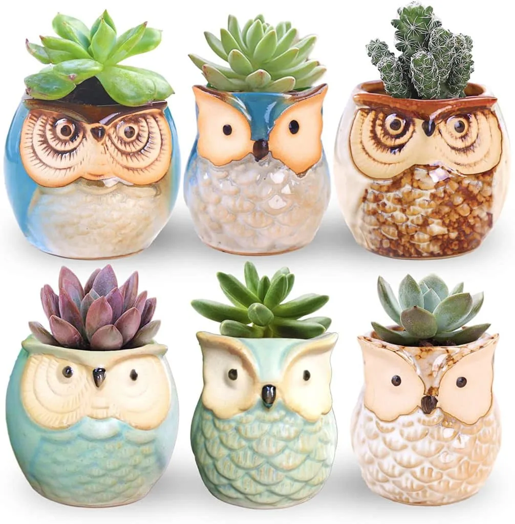 Six owl planters with an array of succulents inside available at amazon.