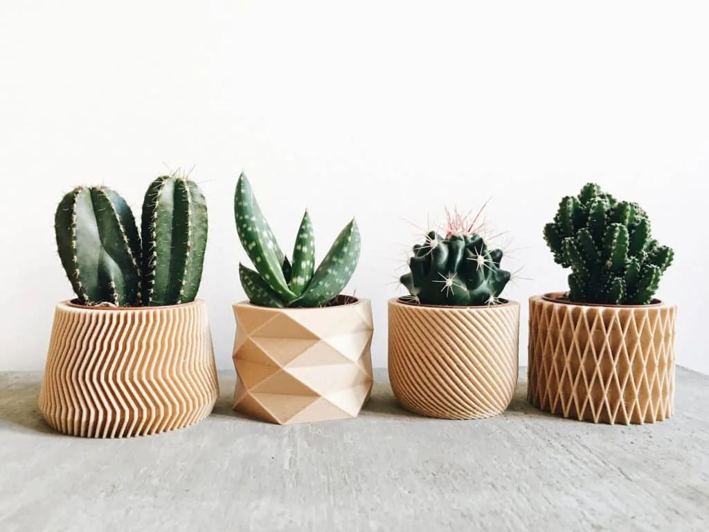 Recycled wood geometric planters set of 4 with an array of succulents inside available at etsy.