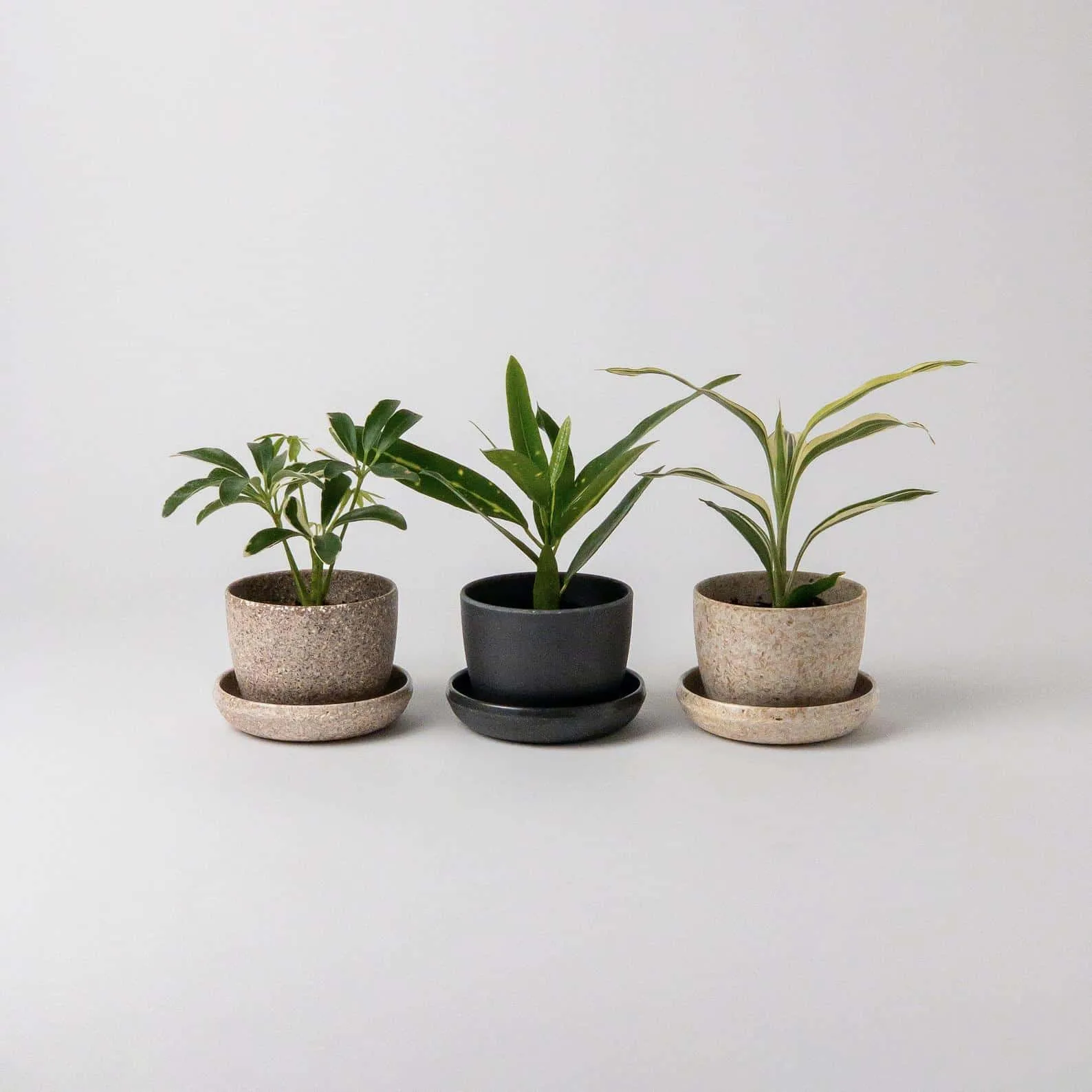 Three planters in neutral tones and plants inside available at etsy.