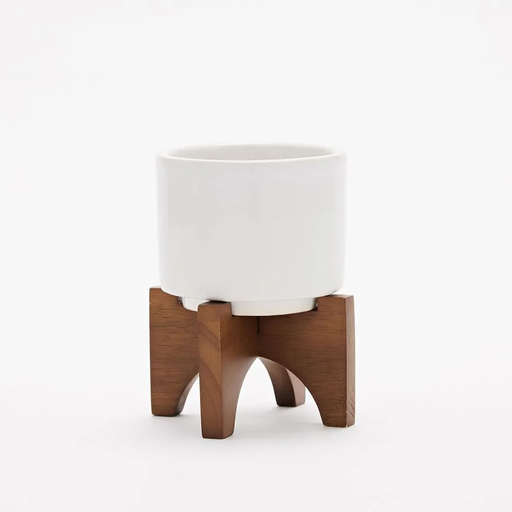 white succulent pot on wood legs available at west elm.