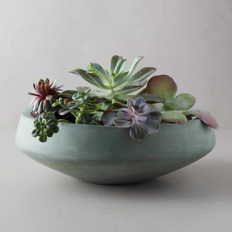 21 Indoor Succulent Planters for Indoor Succulent Gardens